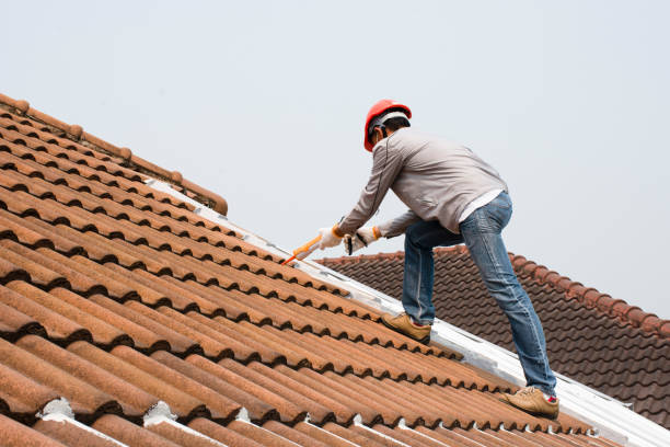 Best Roof Coating and Sealing  in Tyndall, SD